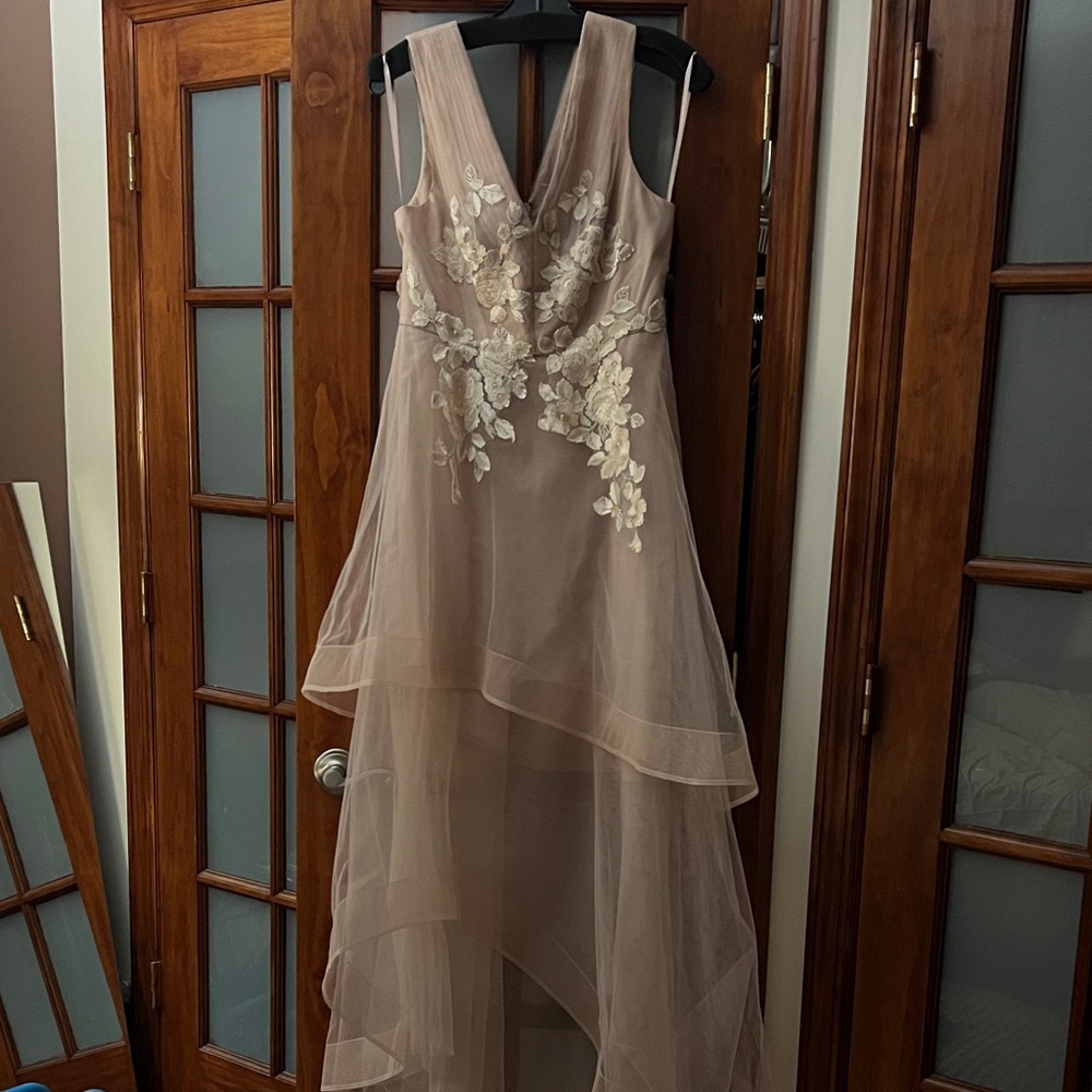 BCBGMaxAzria Blush High Low Dress with Floral Details